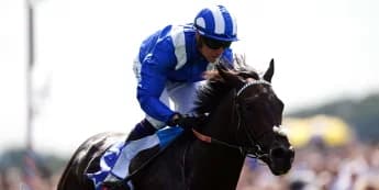 Alflaila pointing towards Juddmonte challenge