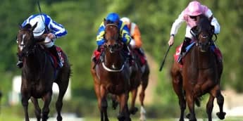 Caius Chorister relishing drop in trip for Lillie Langtry tilt