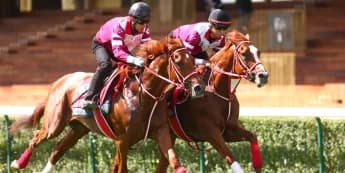 Shin Emperor all set for Irish Champion-Arc double after Paris gallop