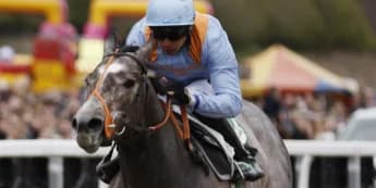 Haydock now the top target for Shouldvebeenaring