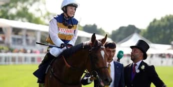 York beckons for Docklands before Aussie adventure