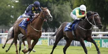 Mill Stream to be saved for Ascot and Sha Tin targets