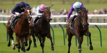 Ghostwriter out to end O’Brien’s Irish Champion monopoly