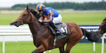 Lion roars to head of Guineas and Derby betting