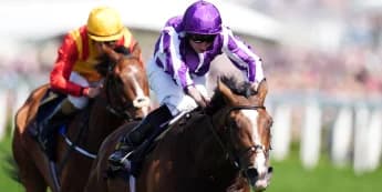 O’Brien Unleashes Triple Threat at the Betfred St Leger