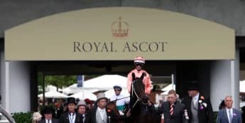 Australian legend Black Caviar dies from hoof condition