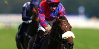 Big Evs Aims for Grand Finale in Breeders’ Cup Glory