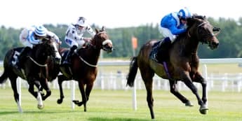 Nice and easy for Al Aasy in Geoffrey Freer stroll