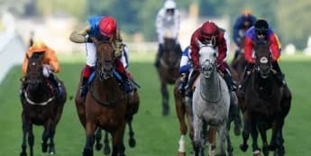 Gregory on course for Gold Cup bid at Ascot