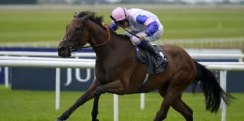 Bluestocking and You Got To Me stand ground for Yorkshire Oaks