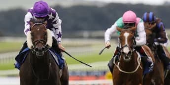 David Loughnane ‘over the moon’ to have Go Bears Go back