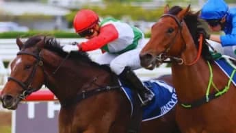 Kintyre Tactical Shift: Portelli's Winning Strategy Ahead