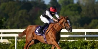 Kyprios facing 11 potential rivals as he bids to regain Gold Cup crown at Royal Ascot