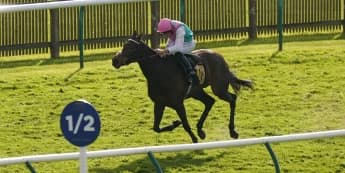 Outstanding Kalpana cut for the Champions Day task