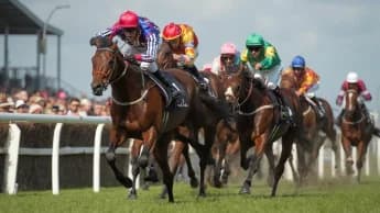 Big Evs Aims to Break Record in Nunthorpe Stakes Rematch