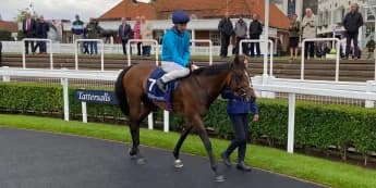 The Waco Kid Steals the Show How He Left Diego Ventura and Monumental in the Dust