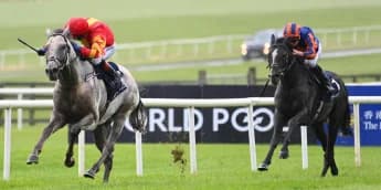 White Birch and Auguste Rodin set to renew rivalry