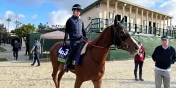 Ramatuelle Aims for Breeders' Cup Mile Triumph