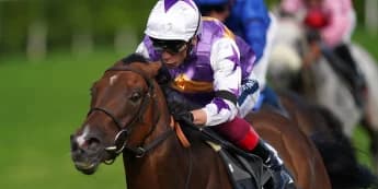 Town Moor probable target for Kinross after missing York