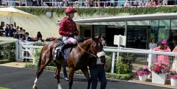 Southwell Fans Flock to Watch Racing Legend City of Troy’s Final Gallop Before Dirt Debut