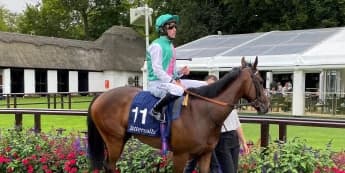 Nice test likely to be next for Salisbury winner Tabiti