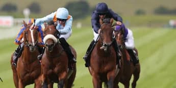 Middleham could roll Group One dice with The Strikin Viking