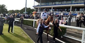 Tiffany comes home alone in Newcastle feature