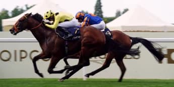 2024 return not ruled out for Rosallion following Goodwood absence