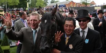 10 of Aidan O’Brien’s prolific top-grade champions