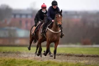 Treble Tee Shines in Newmarket Debut, Eyes 2000 Guineas