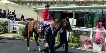 Chancellor hoping to cash in with Champagne celebration