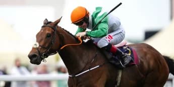 Crystal Black firmly in Melbourne Cup picture after Ballyroan triumph