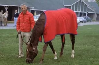 The Legacy of Alydar: Racing Champion and Icon