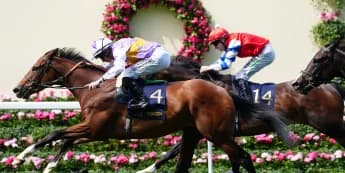 Distance runner gets up late for thrilling King George V win