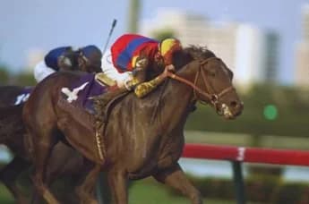 A.P. Indy: A Racing Legend and Influential Sire