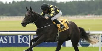 Celebration time for Murphy as Lord Massusus bounces back