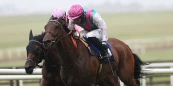 Bluestocking connections keen for ease in the ground ahead of King George bid