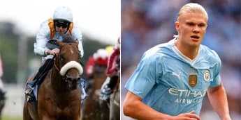 The Strikin Viking makes Wathnan Racing transfer