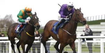 Adrian Murray Targets Breeders' Cup Success with Hopefuls