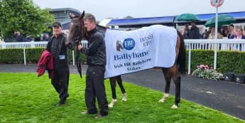 No stopping Heavens Gate in Ballyhane Stakes