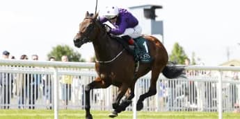 Bucanero Fuerte ruled out of Commonwealth Cup