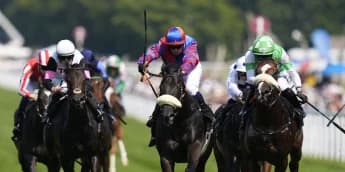 Big result again for Mick Appleby in Molecomb