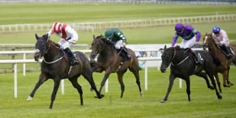 Royal reward for James Tate at the Curragh