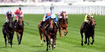 Rashabar camp dreaming big ahead of Prix Morny test