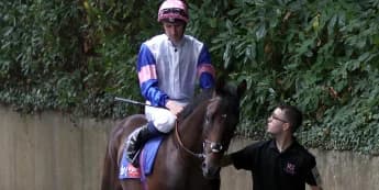 Matauri Bay Eyes Group One Target After Impressive Solario Stakes Run