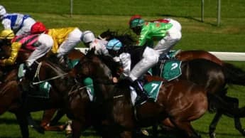 Crocetti Prepares for Return After Successful Gallop