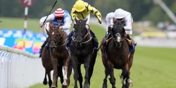 Align The Stars may take in York trip en route to St Leger