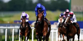 "From Royal Ascot Glory to Bahrain Ambition: Wild Tiger's Epic Autumn Campaign Unveiled"