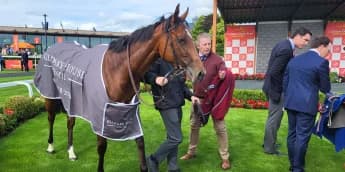 O’Brien seeking first Sweet Solera at Newmarket on Saturday