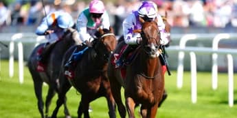 Kinross collects Park prize once more at Doncaster